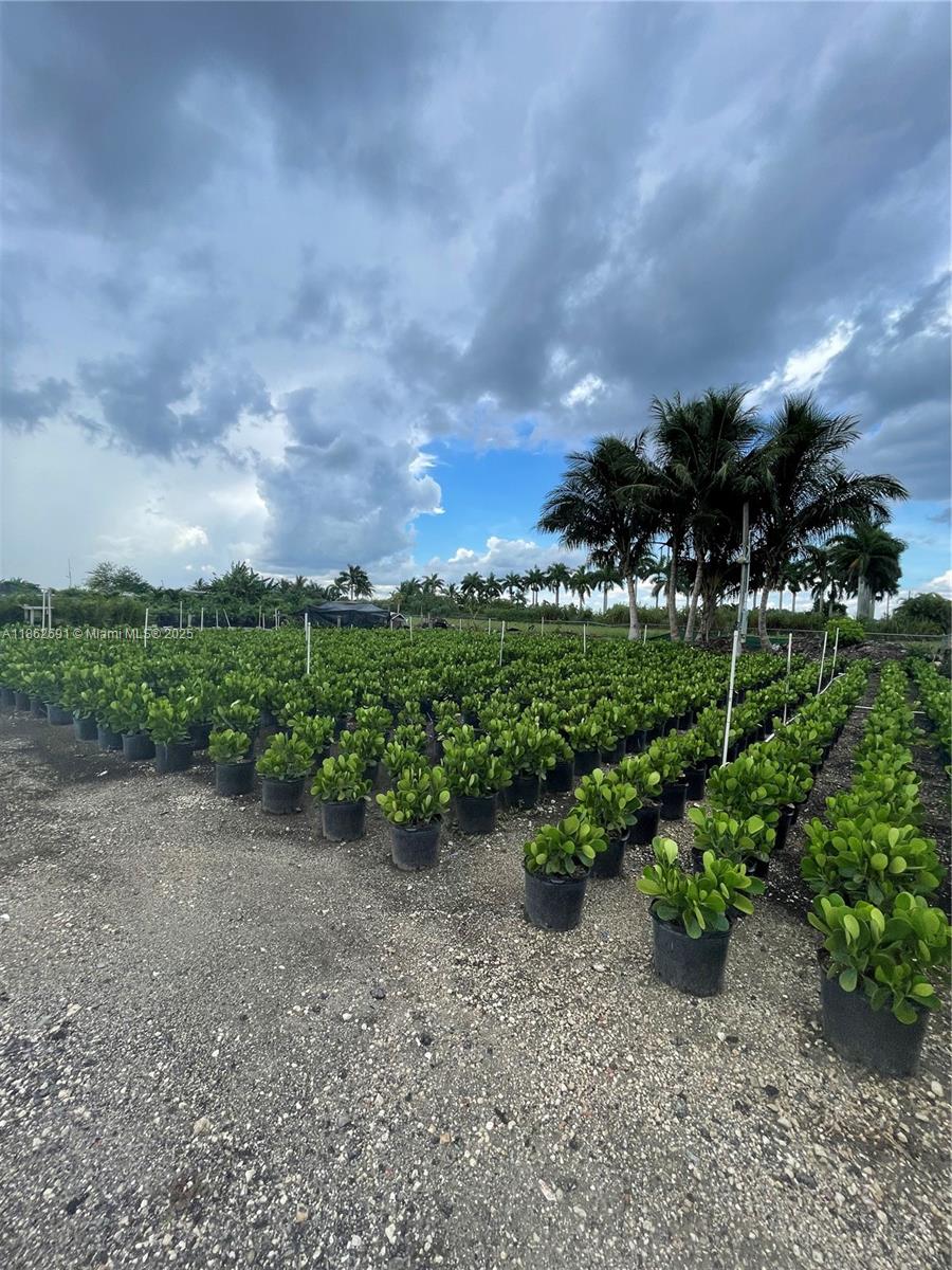 4.96 ACRES FULLY FENCED. THE LAND INCLUDES IRRITAGION SYSTEM MAKING IT IDEAL FOR NURTURING PLANTS. SOLAR PANELS. TWO TRAILERS AND 2 NEW CONTAINERS. THE LAND IS LEASED AND OPERATING AS A NURSERY, TENANTS WILL VACATE BY CLOSING OR ARE OPEN TO RENEWING THE LEASE. INVENTORY CAN BE SOLD SEPARATELY