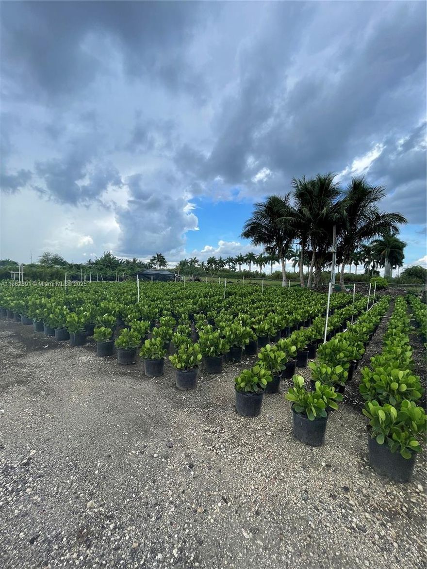 4.96 ACRES FULLY FENCED.  THE LAND INCLUDES IRRITAGION SYSTEM MAKING IT IDEAL FOR NURTURING PLANTS. SOLAR PANELS. TWO TRAILERS AND 2 NEW CONTAINERS.  THE LAND IS LEASED AND OPERATING AS A NURSERY, TENANTS WILL VACATE BY CLOSING OR ARE OPEN TO RENEWING THE LEASE.  INVENTORY CAN BE SOLD SEPARATELY