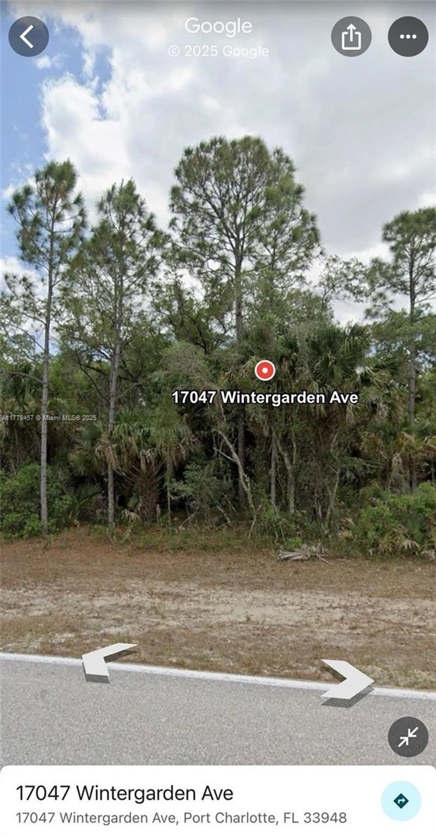 INCREDIBLE OPPORTUNITY CLOSE TO EVERYTHING, BUILD YOUR DREM HOME IN THIS GREAT 10,000 SQUARE FOOT LOT! GREAT FOR NATURE LOVERS AND CLOSE TO BEACHES AND SHOPPING , RESTAURANTS , FISHING, GOLFING, RIVERS !! OWNER FINANCING COULD BE POSSIBLE !!