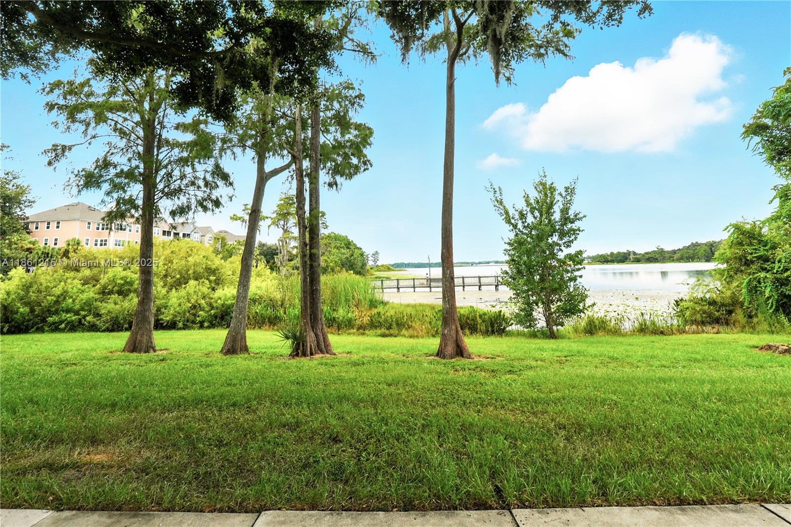 The Hamptons at Metrowest - Residential