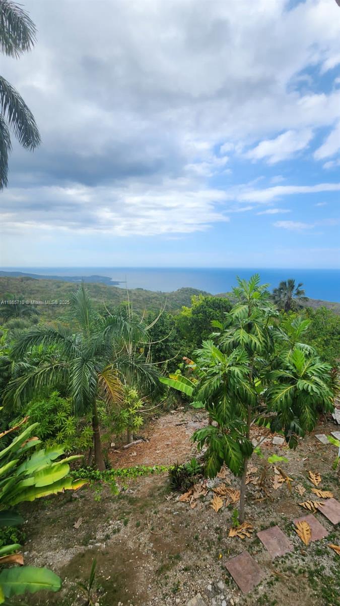 MONTEGO BAY, JAMAICA - Residential