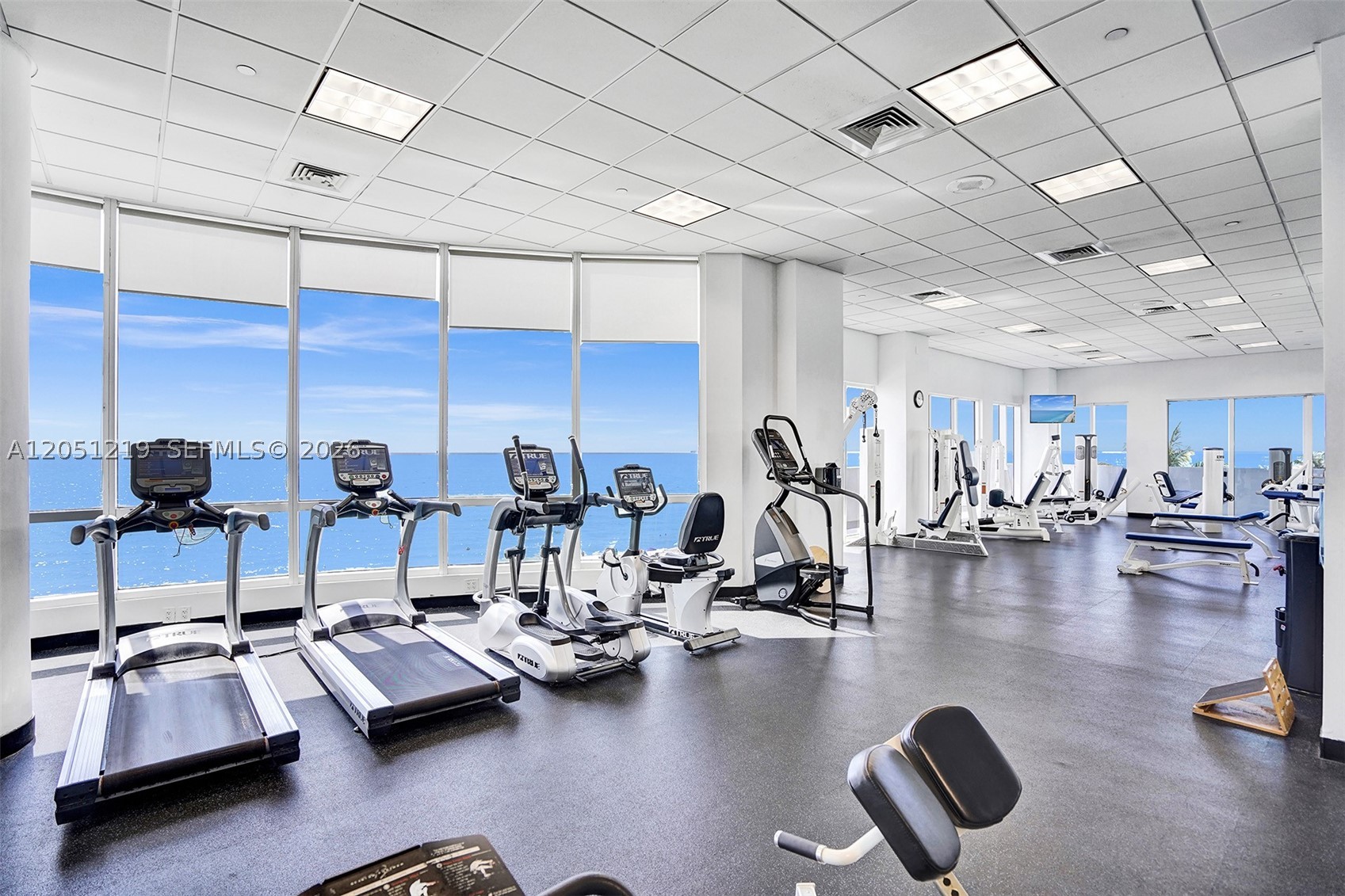 6365 Collins Ave 1705