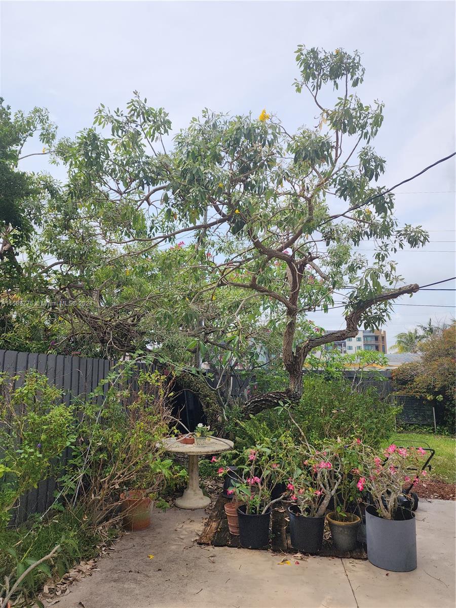 AVON HEIGHTS - Residential