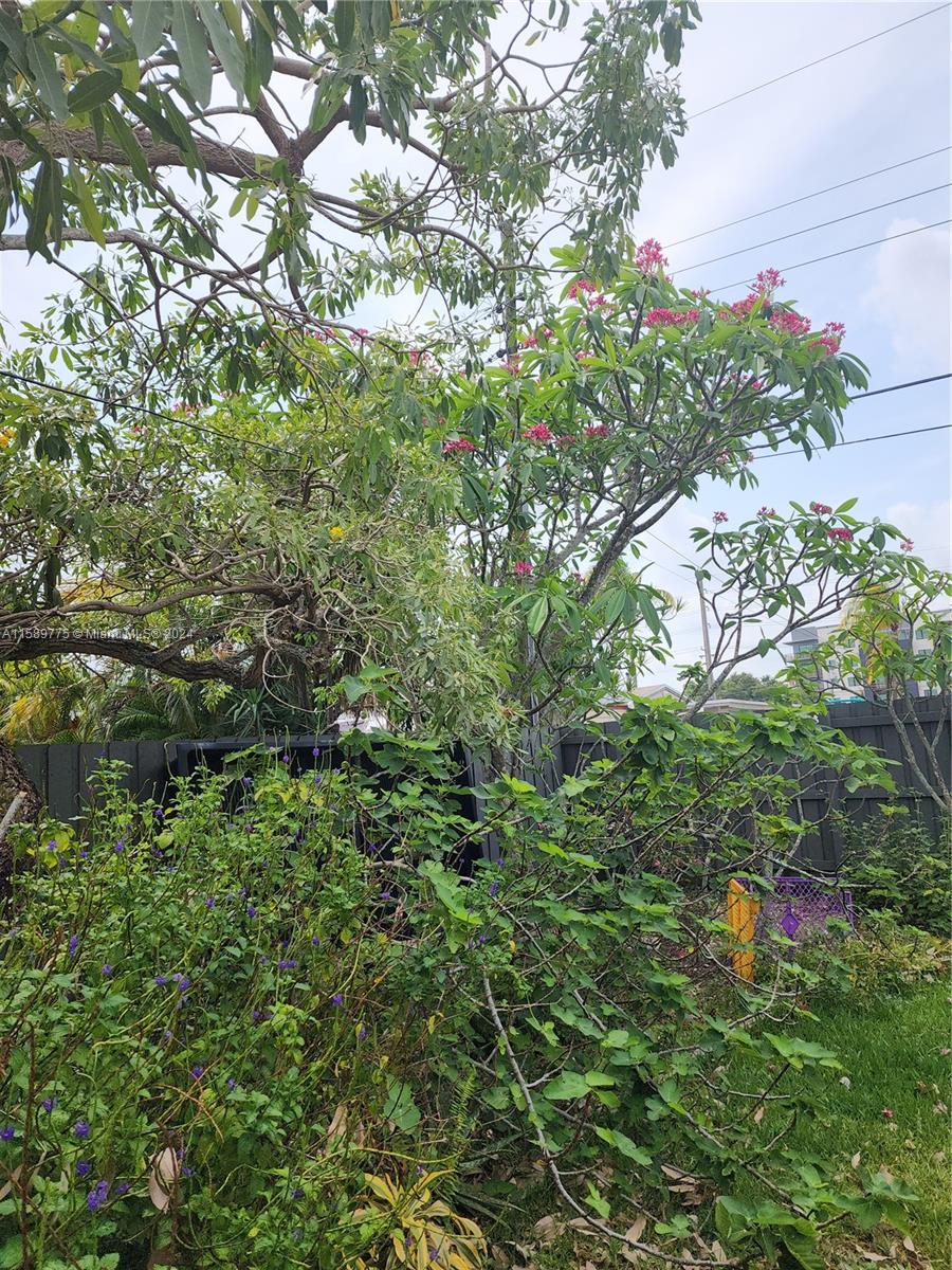 AVON HEIGHTS - Residential