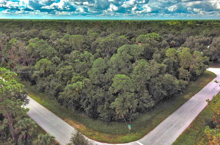 Exclusively listed by Sunland Real Estate: Prime 0.28-acre corner lot in Port Charlotte, Florida. Perfectly situated near Veterans Blvd & Tamiami Trl, where all major shopping, dining, and entertainment is located along with the Port Charlotte Town Center Mall. This lot is ideal for those seeking a balance between quiet suburban living and easy access to Port Charlotte's growing commercial hub. Port Charlotte is a thriving area with increasing demand due to its prime location along Floridas Gulf Coast, offering easy access to beautiful beaches, parks, boating, and fishing. The citys growing infrastructure, combined with affordable land prices, makes it a highly sought-after location for new development and investment.