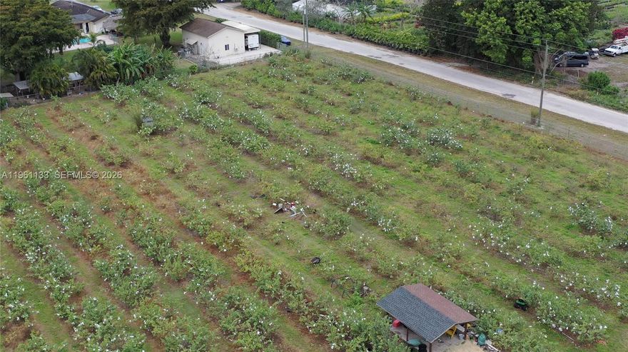 Excellent opportunity in one of the best areas of the Redlands. This 2.5-acre lot is planted with guava — a highly valued fruit — making it ideal for agricultural investment or future residential development. The property offers direct street access and the ability to build immediately. Very few lots are currently available in the area, adding to its value and exclusivity. Prime location just 3 minutes from Krome Ave, combining privacy, productivity, and convenient connectivity. A rare opportunity you don’t want to miss!High-potential investment opportunity in a prime Redlands location. This 2.5-acre parcel is income-producing with established guava cultivation — a strong, in-demand agricultural product. Direct street access and buildable zoning create multiple exit strategies, from continued farming to residential development. With limited land inventory in the area and close proximity to Krome Ave, this property combines appreciation potential, usability, and strategic location.