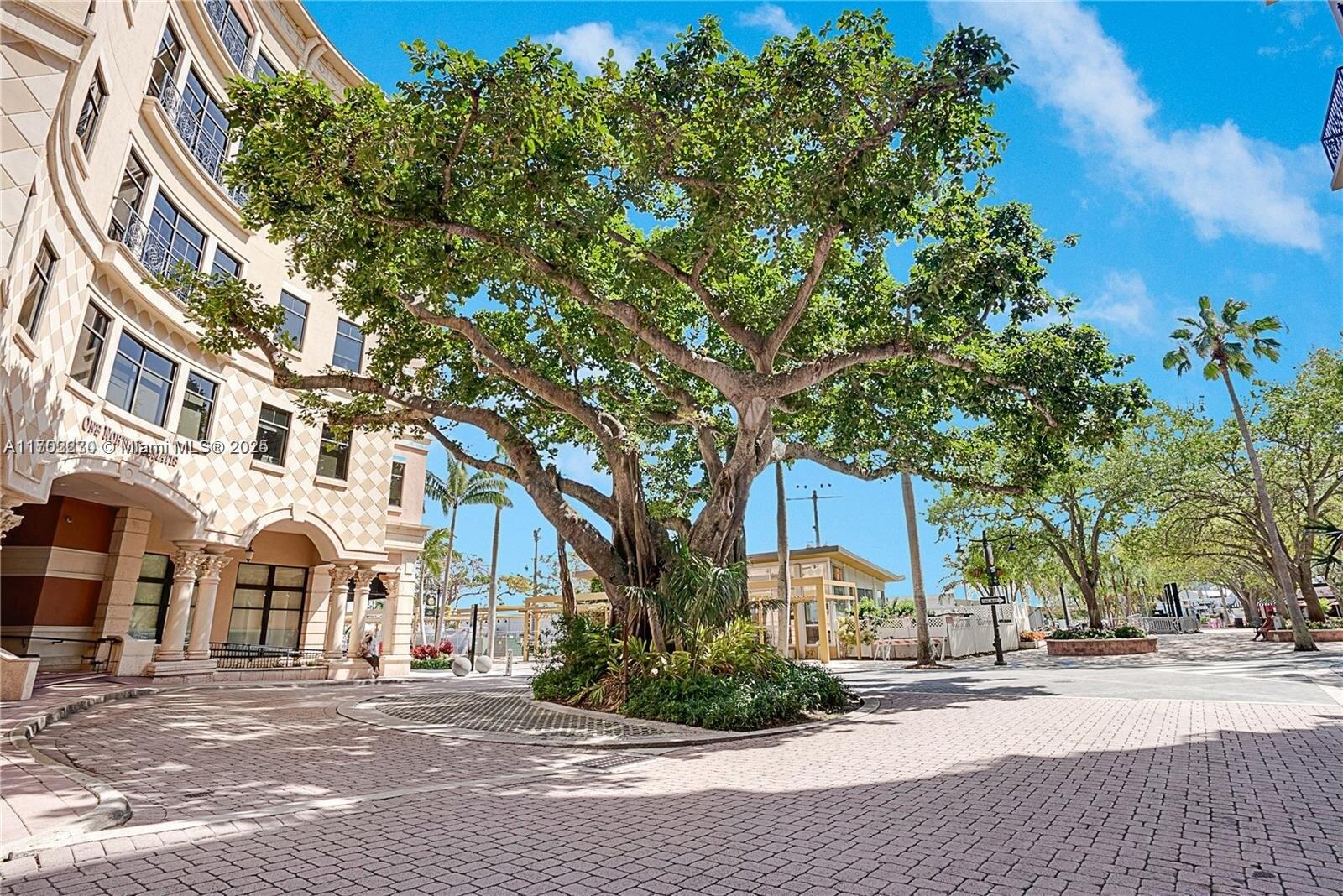 Waterfront Clematis - Residential