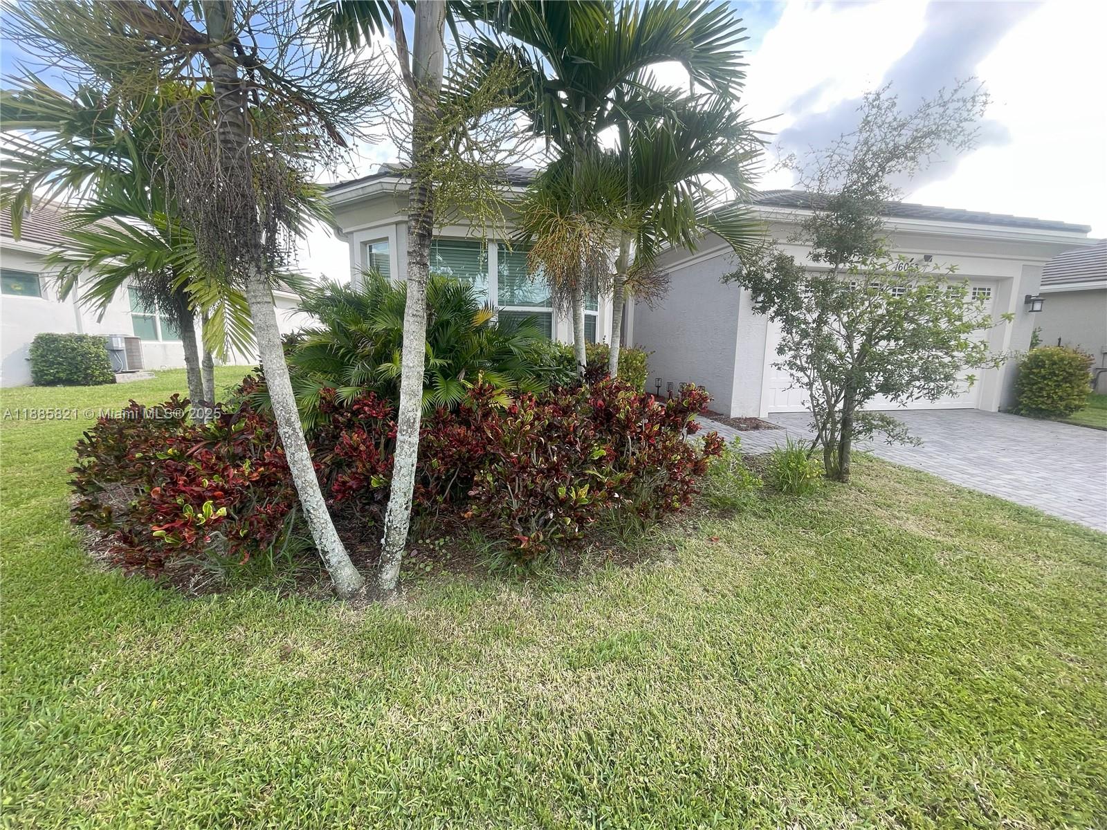 HAMMOCKS OF WESTLAKE PHAS - Residential