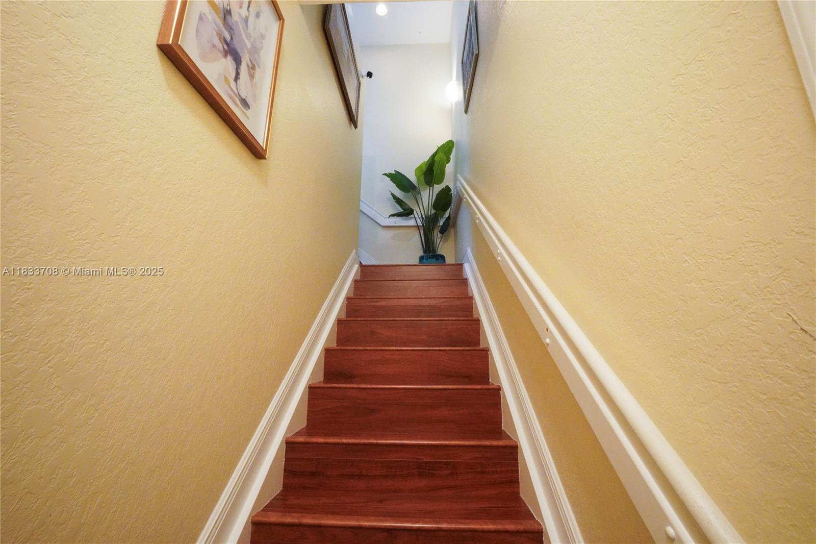 3335 Palomino Dr