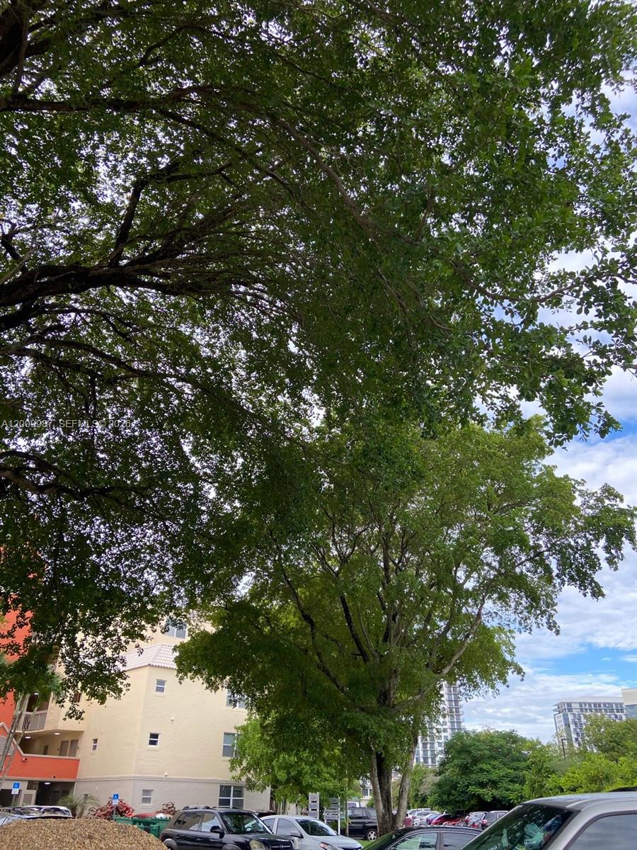 LAS VISTAS AT DORAL CONDO - Residential