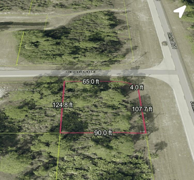 LEHIGH ACRES - Land