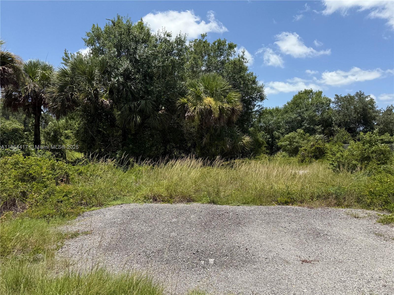 1.25 ACRES AMAZING LOCATION AT MONTURA RANCH ESTATES, BY THE END OF THE STREET, CURB DONE AND CLEARED LOT ! PRICE TO SELL FAST!! BEST OPTION IN THE MARKET! NO WETLAND! CLEAN TITLE!! GREAT INVESTMENT OPPORTUNITY! YOU CAN BUILD YOUR DREAM HOUSE OR INSTALL YOUR MOBILE HOME ENDLESS POSSIBILITIES!!! YOU CAN HAVE YOUR WEEKEND GETAWAY FROM THE CITY, JUST 65 MILES FROM WESTON, 90 MILES FROM MIAMI, YOU CAN HAVE YOUR FARM ANIMALS AND ENJOY THE CAMP STYLE OF MONTURA RANCH ESTATE YOU CAN GO DIRECTLY TO THE PROPERTY AND CALL ME OR TEXT ME IF YOU NEED ANY EXTRA INFORMATION