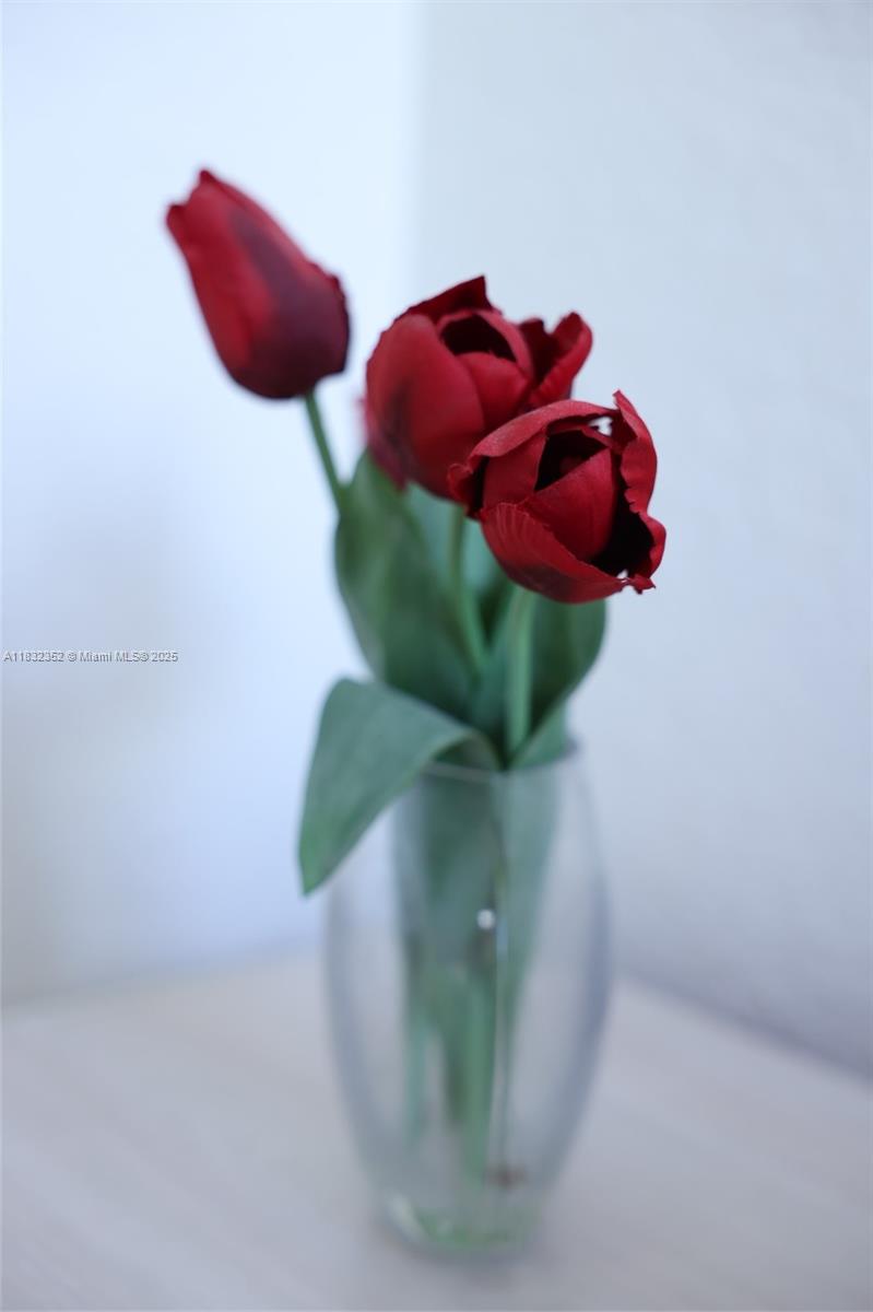 DELPHI TOWERS CONDO - Residential Lease