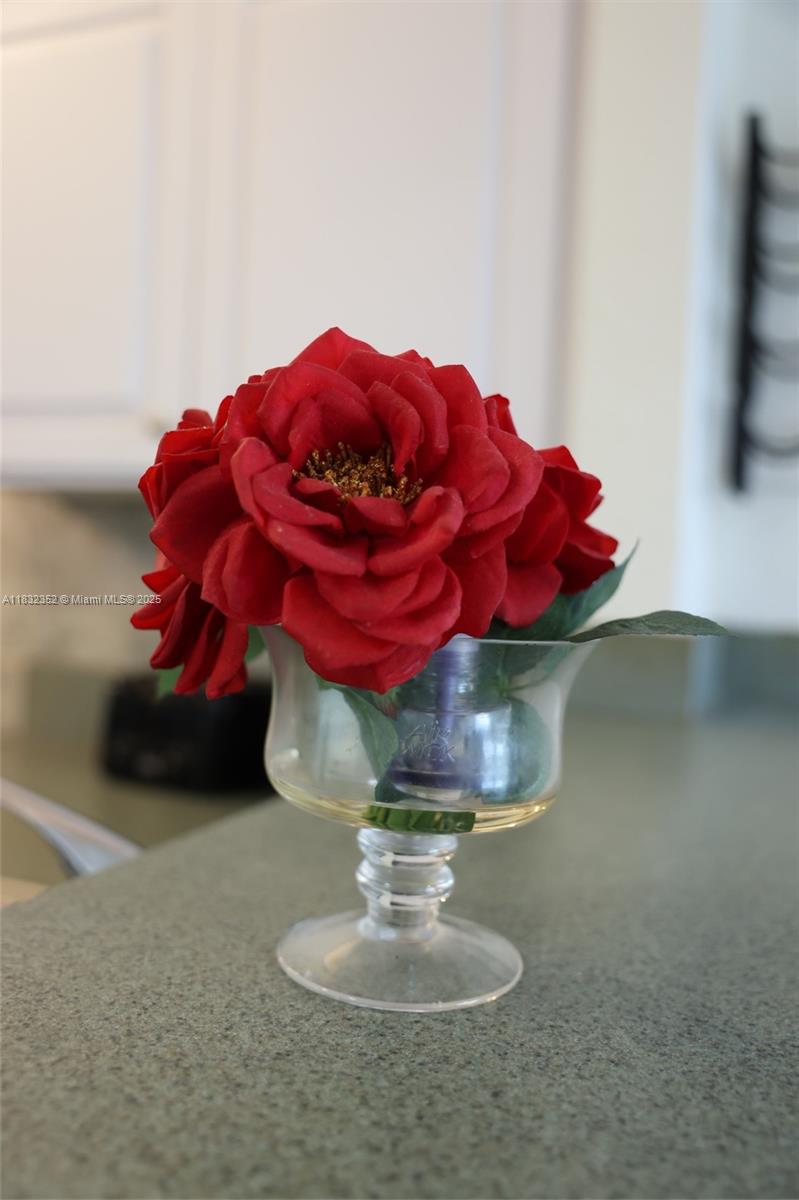 DELPHI TOWERS CONDO - Residential Lease