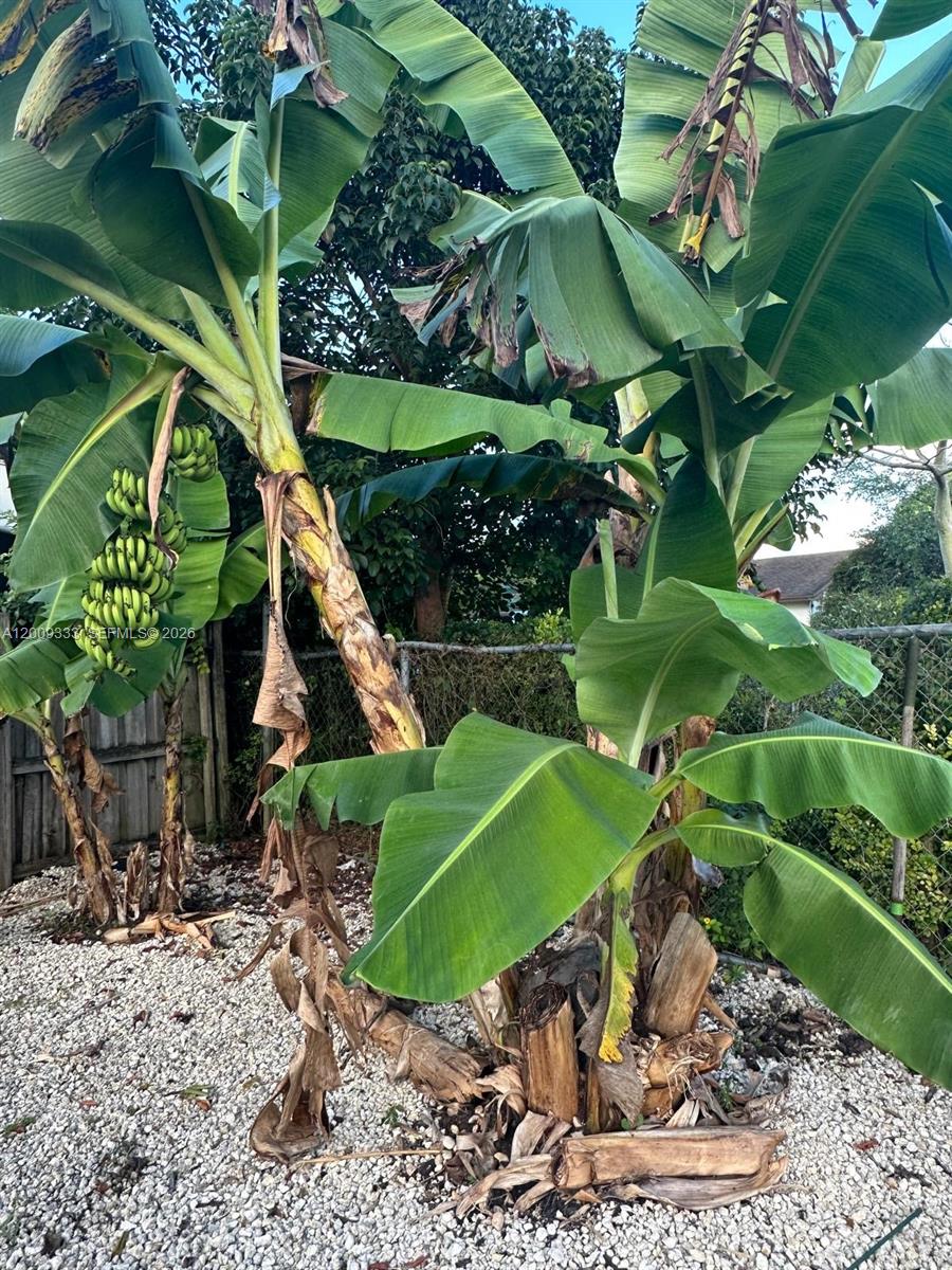 ROLAND HEIGHTS - Residential