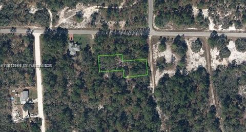 405 Blue Horizon Lake Placid FL 33852