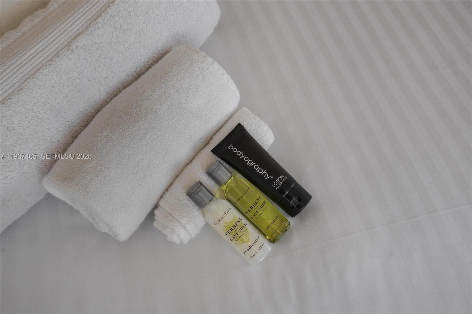 THE ALEXANDER CONDO - Residential