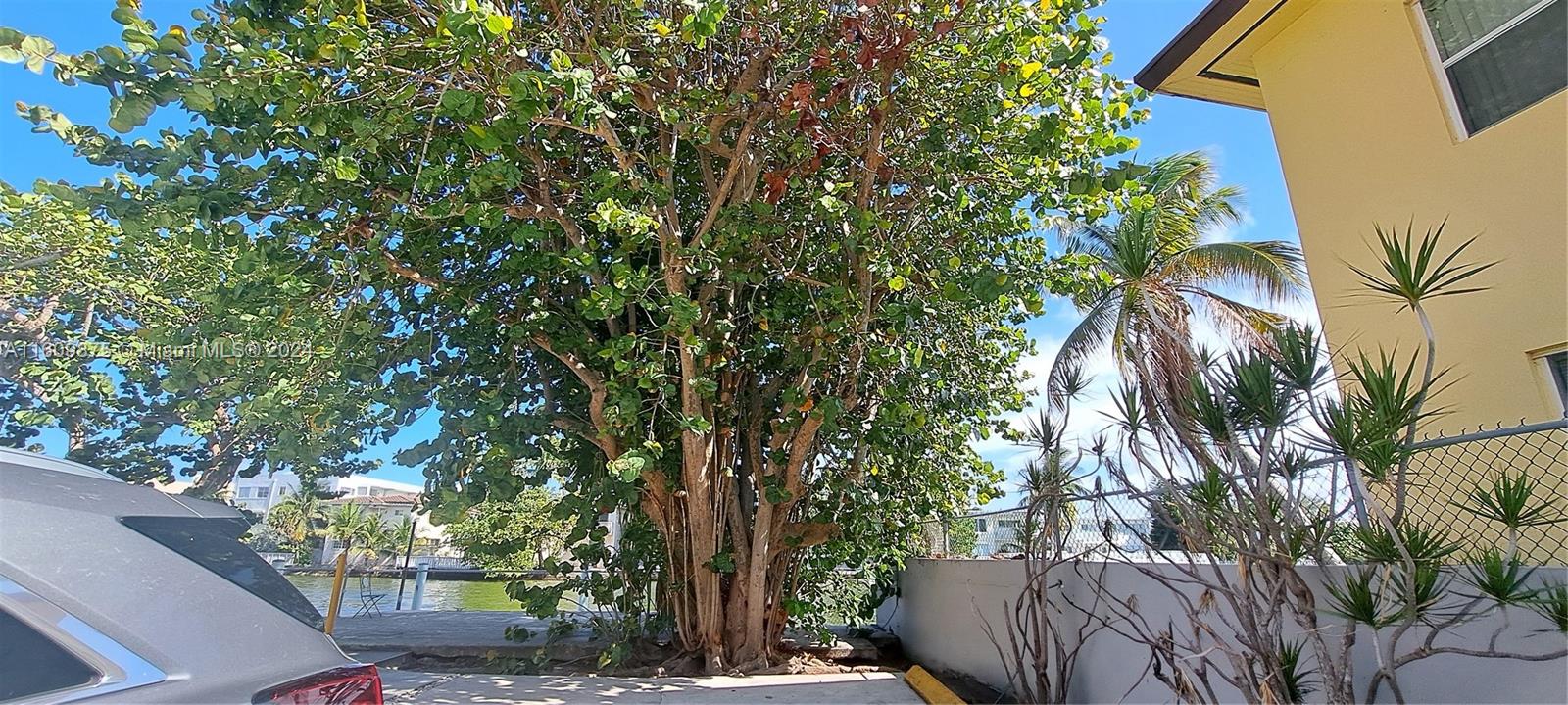 NORMANDY SH YACHT & CO CL - Residential Lease