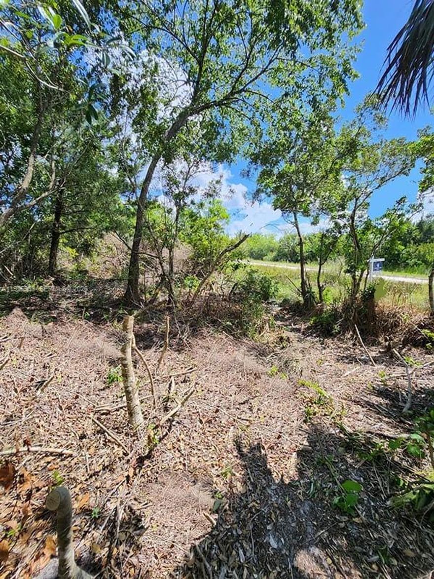 Buildable off the grid corner lot, zoned for General Use for a single family residence. The area offers privacy and natural setting for great potential.  Feels rural, yet its peaceful in wooden surroundings. Central location places it about 30 minutes to Airport & Beaches.

Property fronts Satellite Blvd & Mario Ave. City water service is available and power is near by.