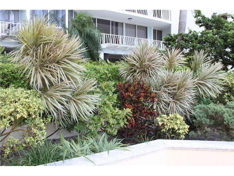 Rare patio condo with 3 times the outdoor space as other units in the building. Upgraded kitchen and baths, wood and tile floors, popcorn removed! A real beauty! Close to the beach, South Beach, Miami and I-95.