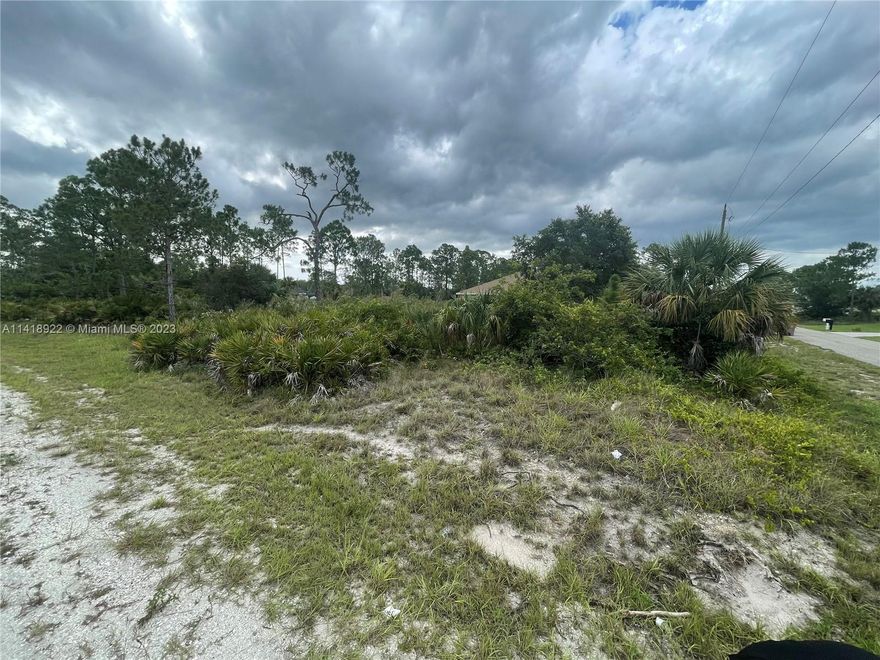 Build your dream home on this 1/4 acre lot. Located in a quite neighborhood. A few minutes drive to stores and restaurants. Mostly shrubs on property to be cleared.