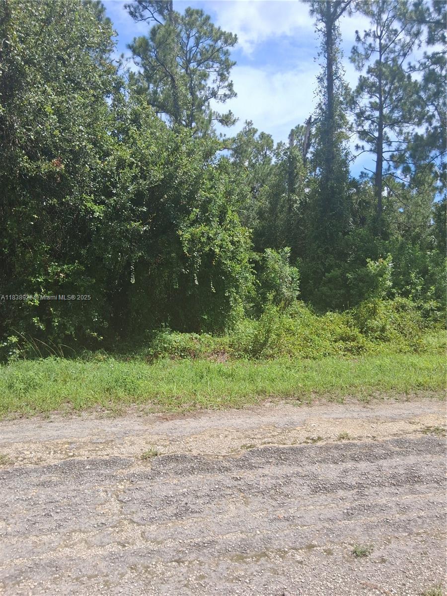 Excellent Opportunity to build your home in an area with other new construction homes being built. Just a short driver to fort Myer and Punta Gorda airport.