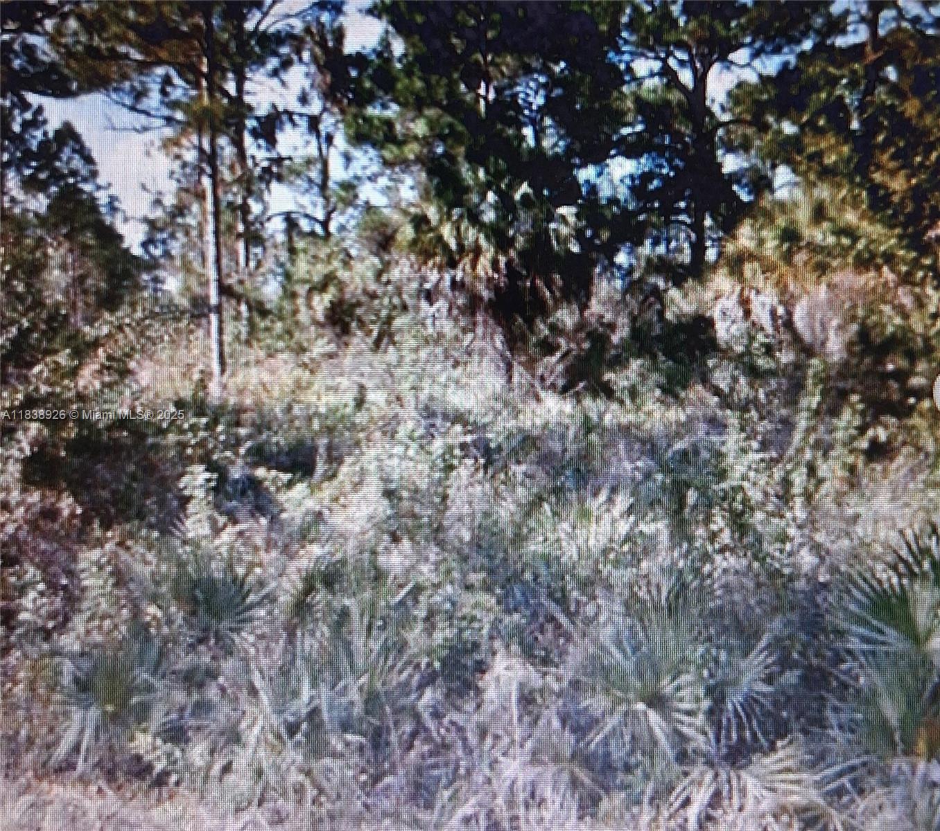 Excellent Opportunity to build your home in an area with other new construction homes being built. Just a short driver to fort Myer and Punta Gorda airport.