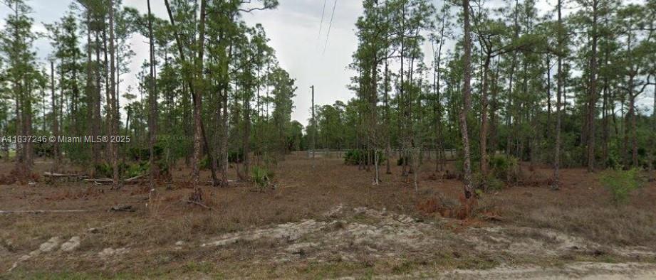 Build Your Dream Home in Lehigh Acres! This spacious vacant quarter acre lot is ready for you to build your custom single-family home in the growing community of Lehigh Acres! Enjoy peaceful surroundings, affordable living, and easy access to Fort Myers while being close to shopping, dining, parks, and top-rated schools. With plenty of new development in the area, this is the perfect opportunity to invest in Florida living! SELLER FINANCING AVAILABLE!!
The buyer’s agent or broker is required to be present at all showings, meetings, inspections, and appointments. Unaccompanied buyers will not be permitted access to the property.