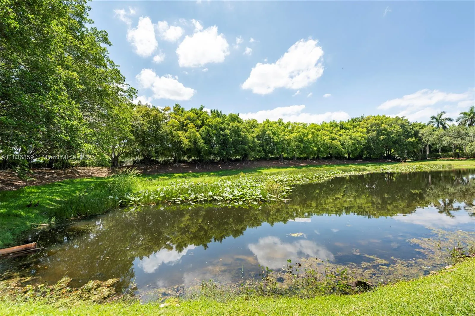 Weston, Florida 33327, United States, 2 Bedrooms Bedrooms, ,2 BathroomsBathrooms,Residential,Active,167874