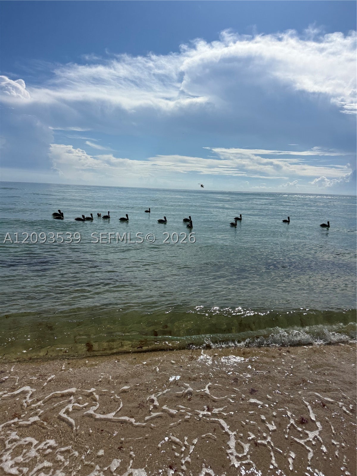 19201 Collins Ave 711, Sunny Isles Beach, FL, 33160/$175,000 2 19201 Collins Ave 711