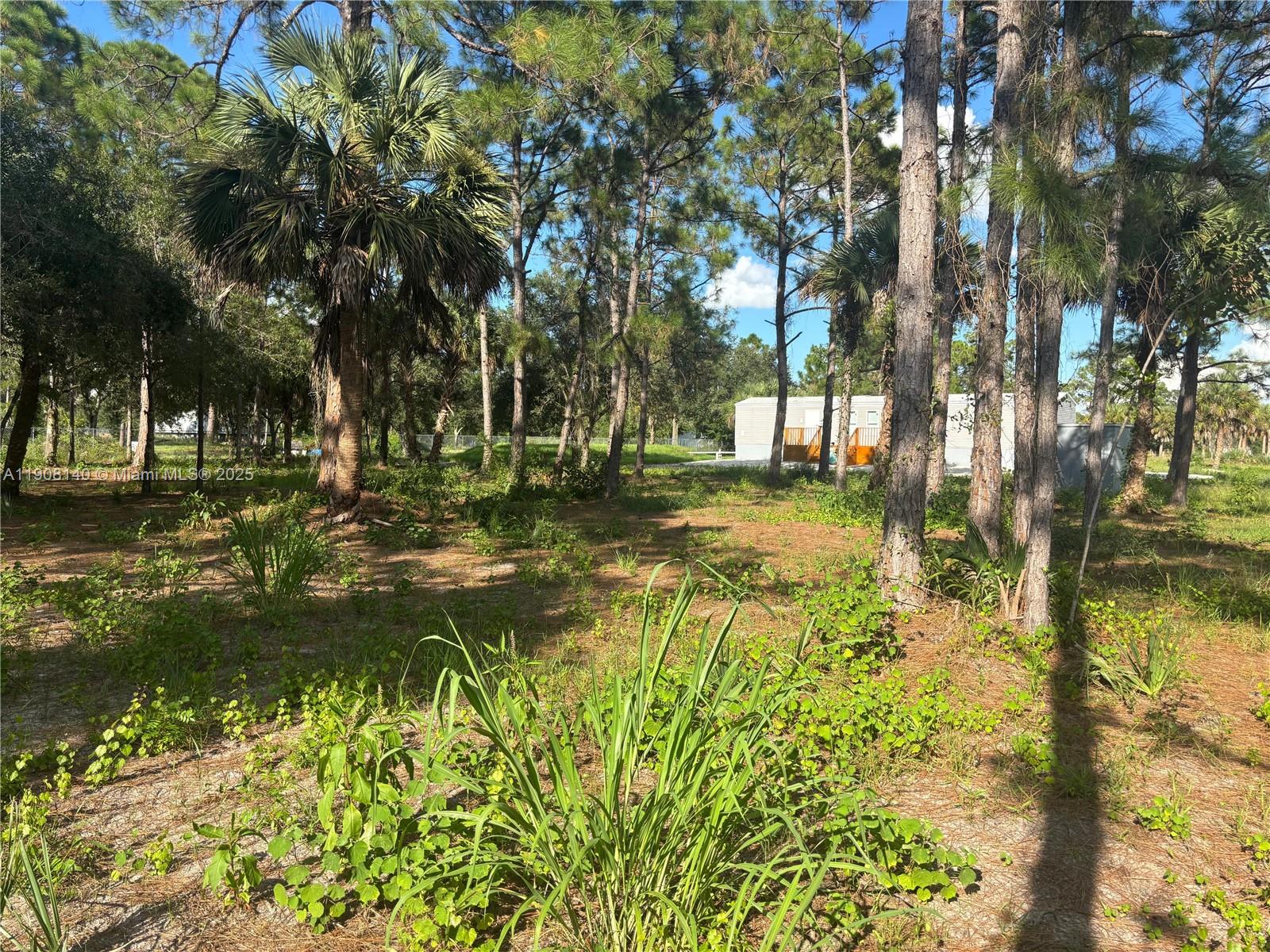 MONTURA RANCH ESTATES - Residential