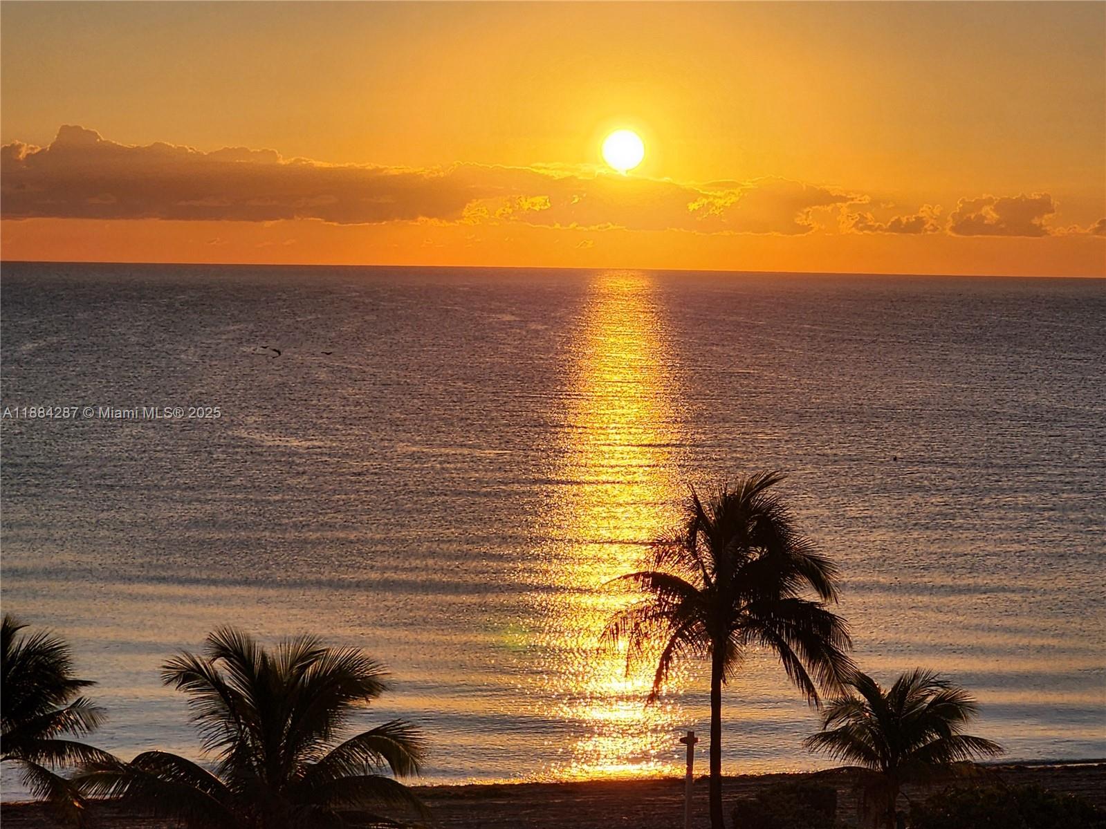 PARKER PLAZA CONDO ESTATE - Residential Lease