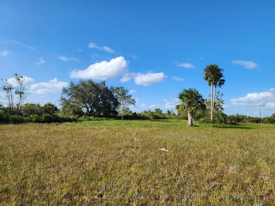 Discover your dream oasis on this serene 1.25-acre lot, ready for your perfect home in the peaceful Kissimmee Prairie neighborhood! With a culverted entrance and beautifully maintained grass. Enjoy easy access to the outdoors, just minutes from the breathtaking Kissimmee Prairie Preserve State Park, where you can hike, bike, horseback ride, and camp under the stars. Imagine a life where you can embrace the country lifestyle, bring your animals, and immerse yourself in nature’s wonders.. Escape the hustle and bustle of city life and create lasting memories in this enchanting natural haven, where adventure and tranquility await! CASH ONLY! NO SELLER FINANCING. SURVEY IS INCLUDED.