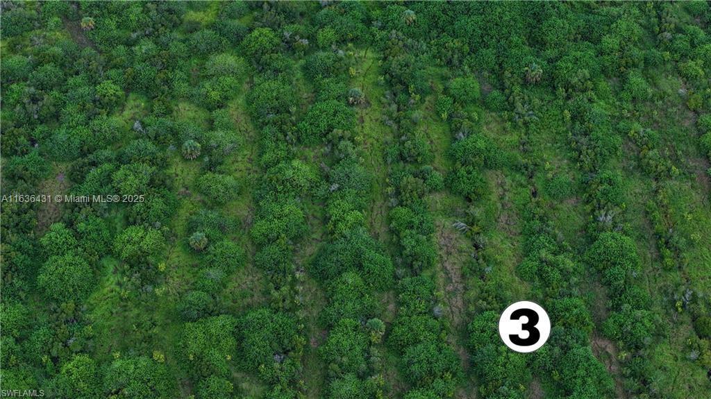 Gerber Groves - Land