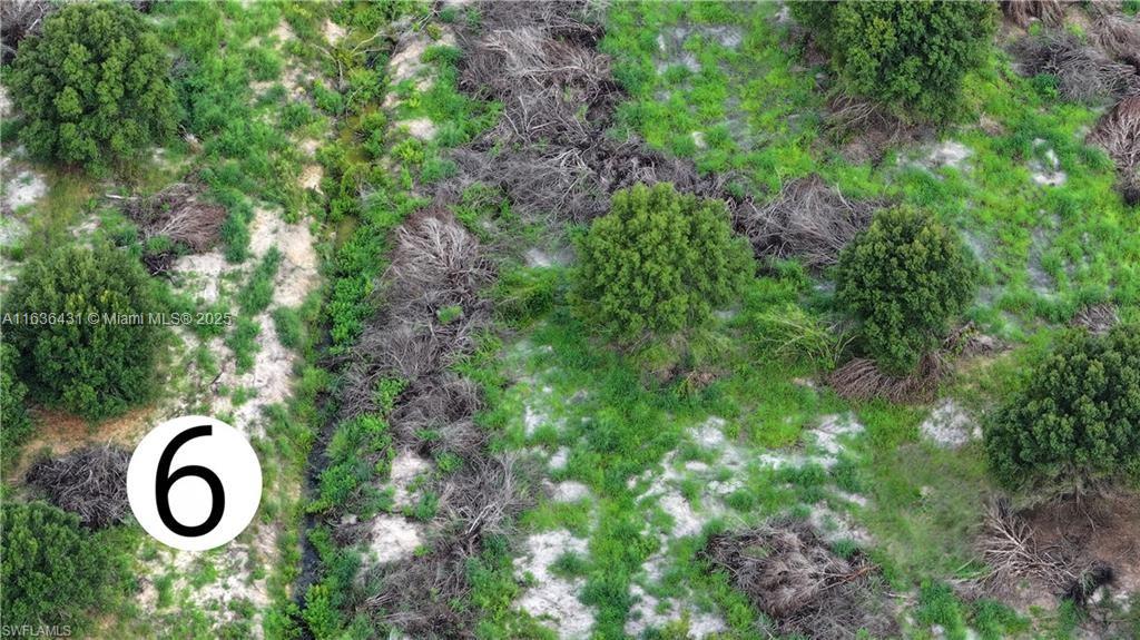 Gerber Groves - Land