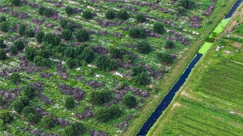 Gerber Groves - Land