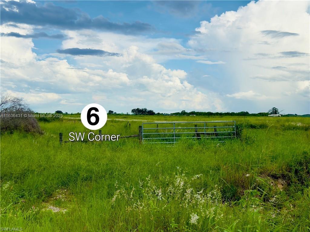 Gerber Groves - Land