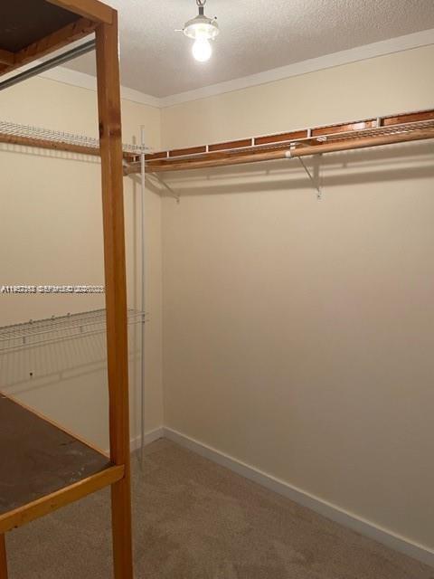 TOWNHOUSES AT JACARANDA C - Residential