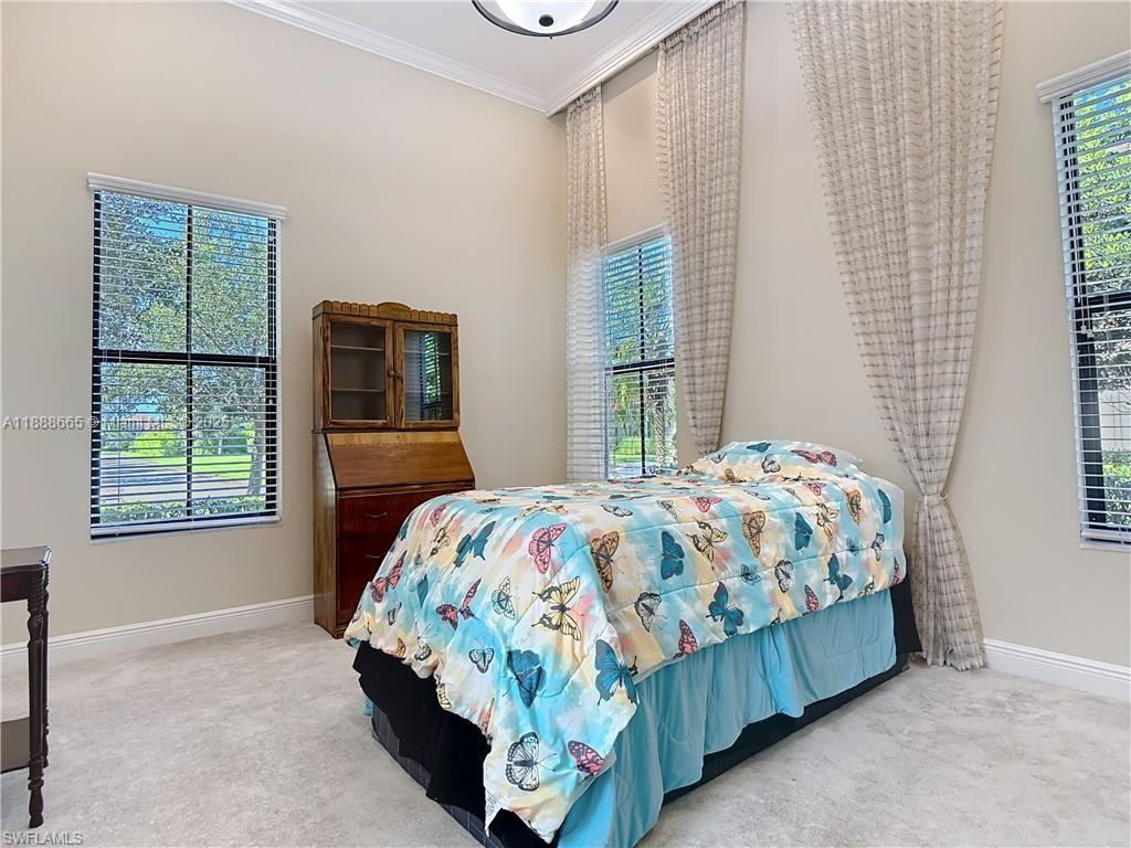 Maple Ridge Estates - Residential