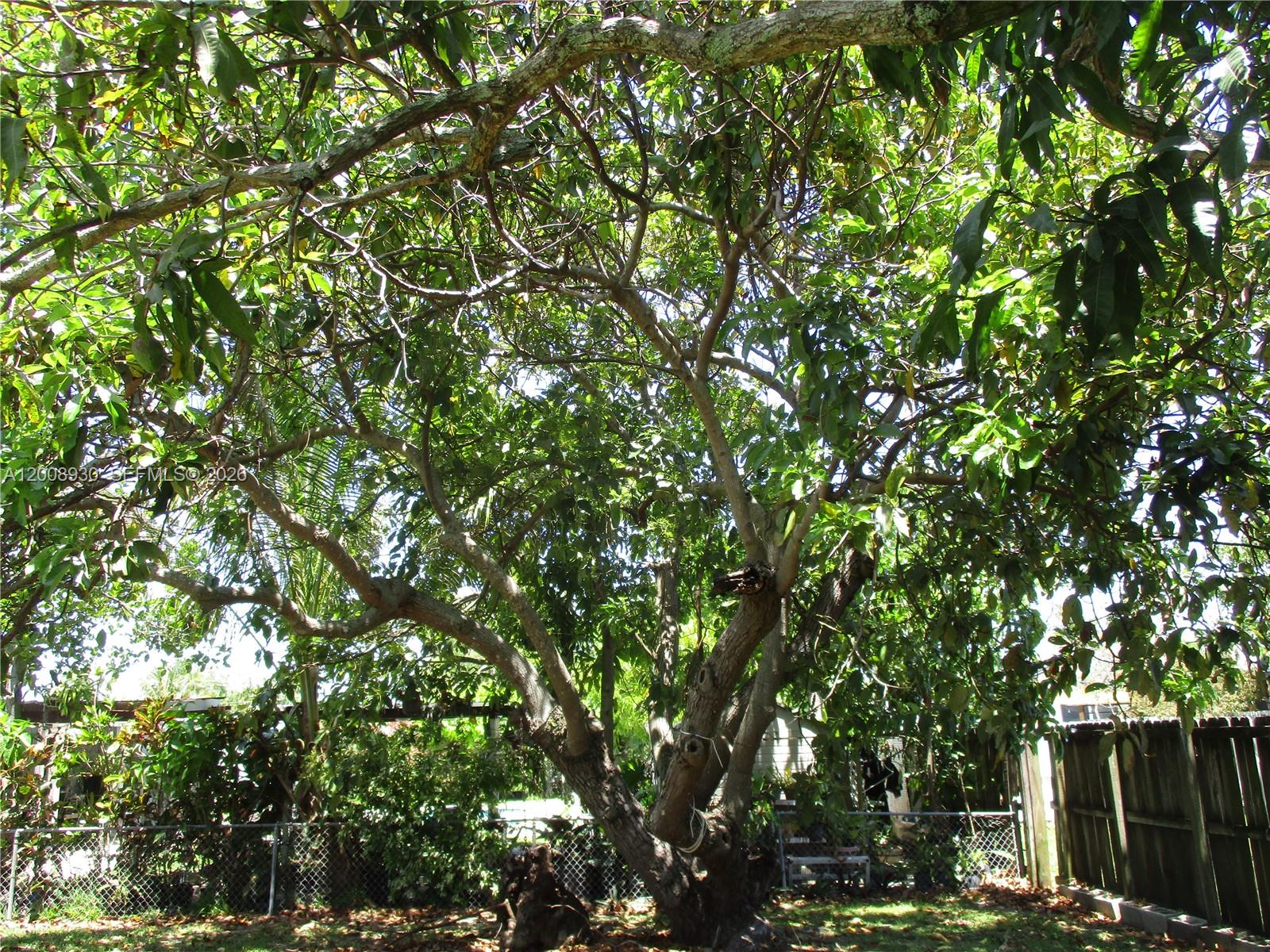 PINE TREE MANOR SEC 4 - Residential