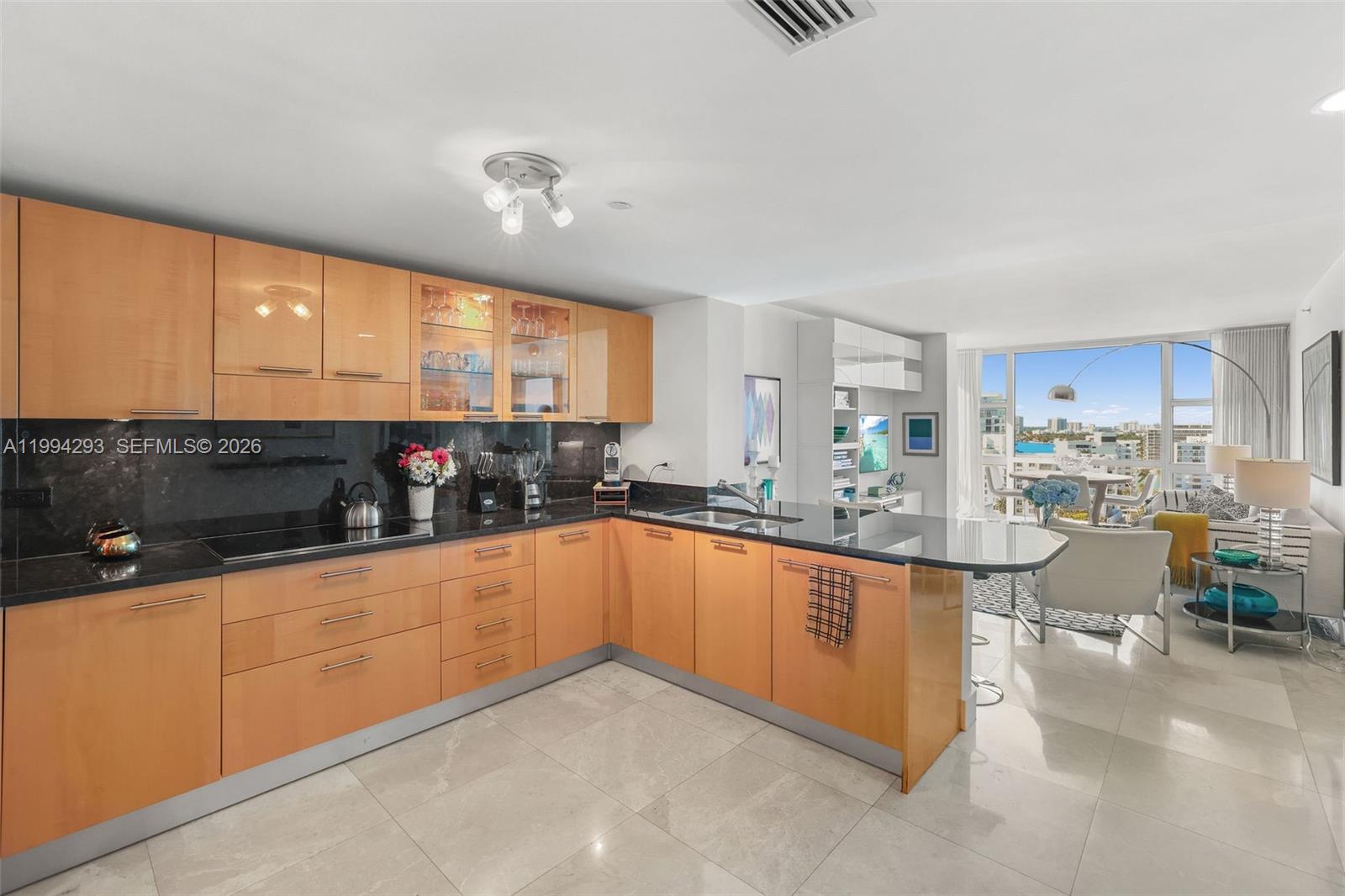 6801 Collins Ave 1112 (Door 1102)