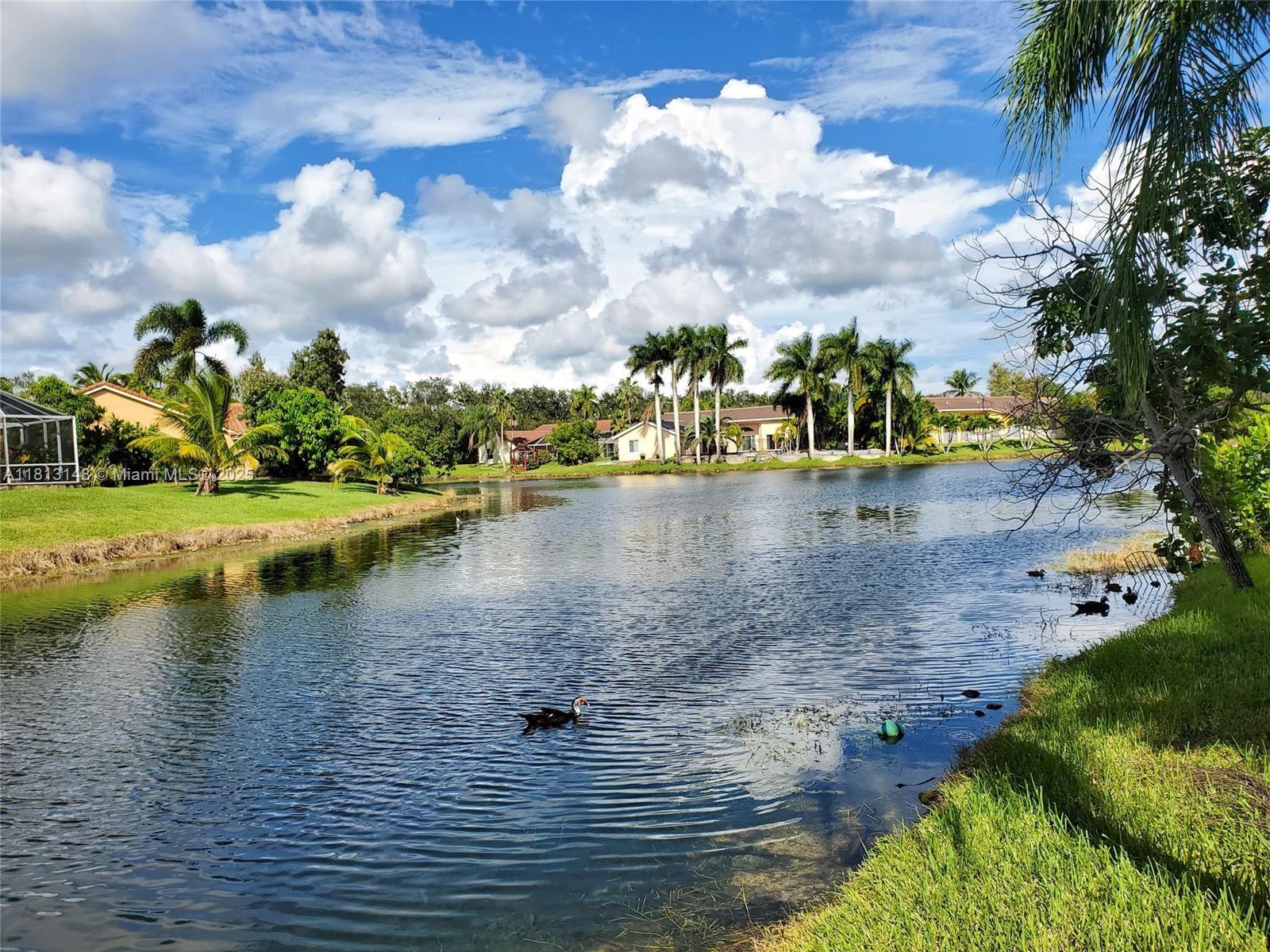 SPRINGS POINTE - Residential Lease