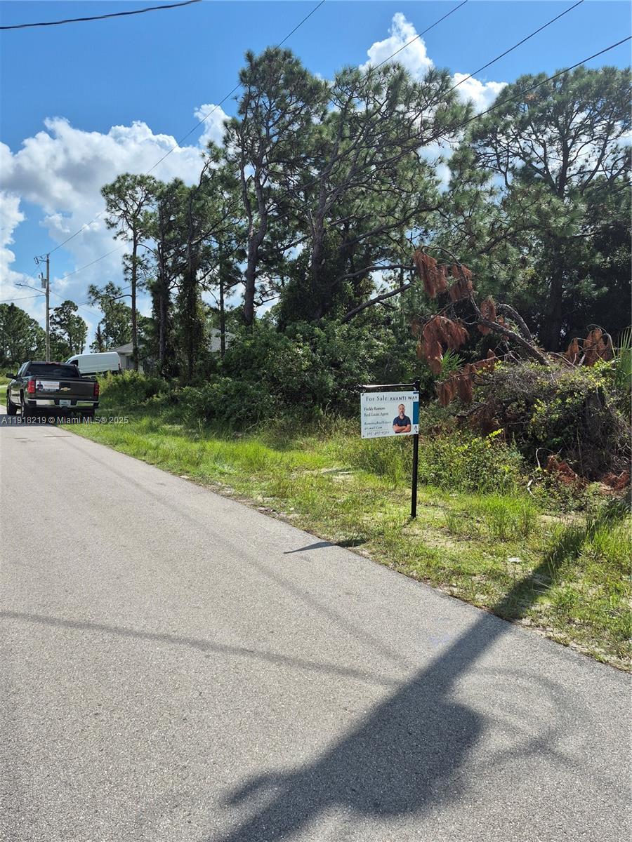 Lee County Unincorporated - Land