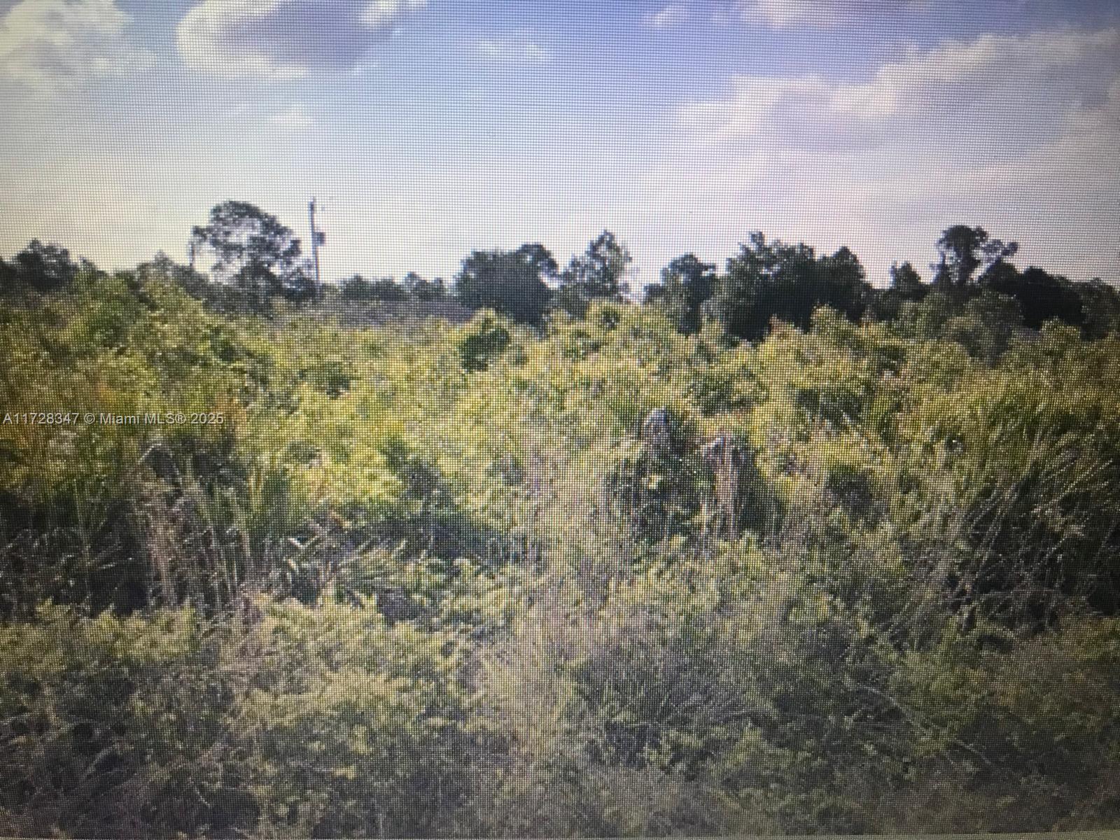 Great opportunity to build your dream home in a highly desirable location of Lehigh Acres. Located close to schools, shopping, airport, I-75, restaurants and beaches. These lots are selling fast and there is a limited supply.