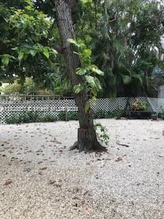 Wyndwood Park - Residential