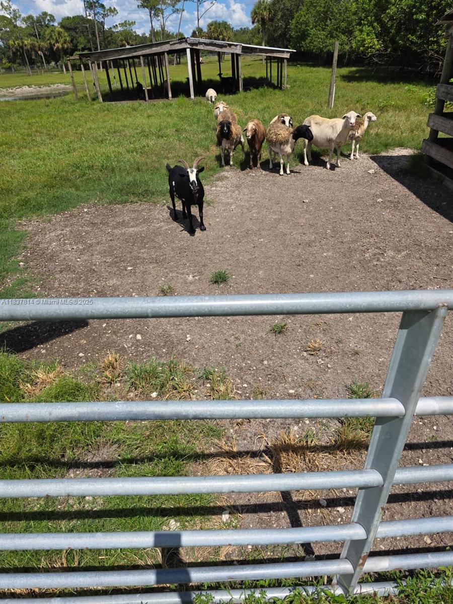 MONTURA RANCH UNREC SEC 25 - Residential