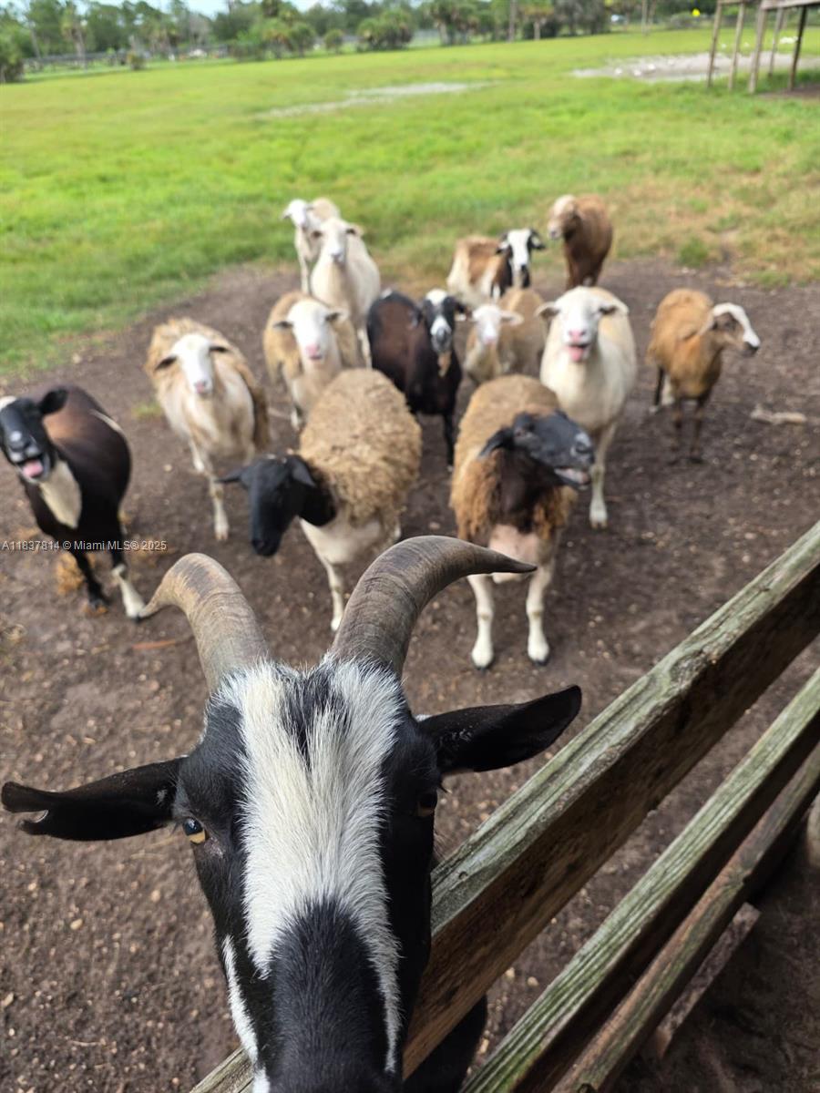 MONTURA RANCH UNREC SEC 25 - Residential