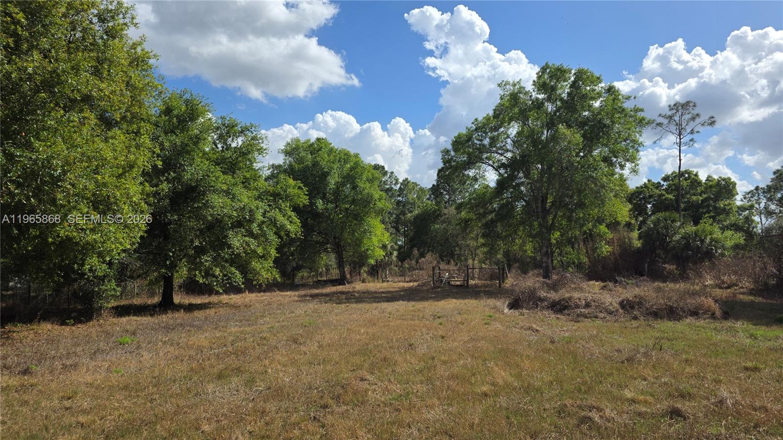 Montura Ranch Estates - Land
