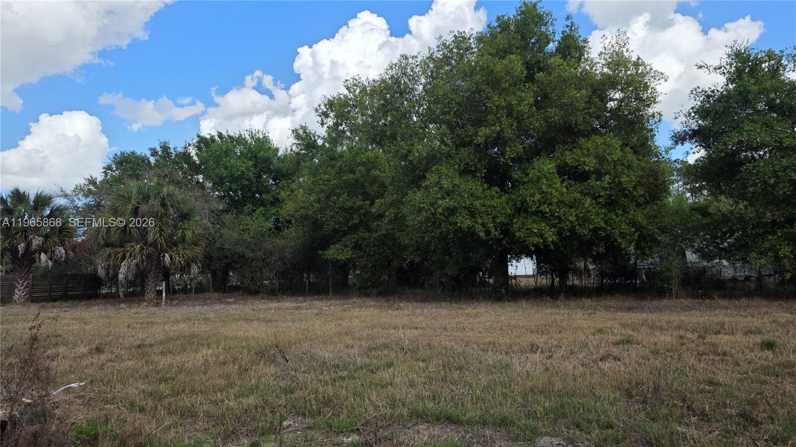 Montura Ranch Estates - Land