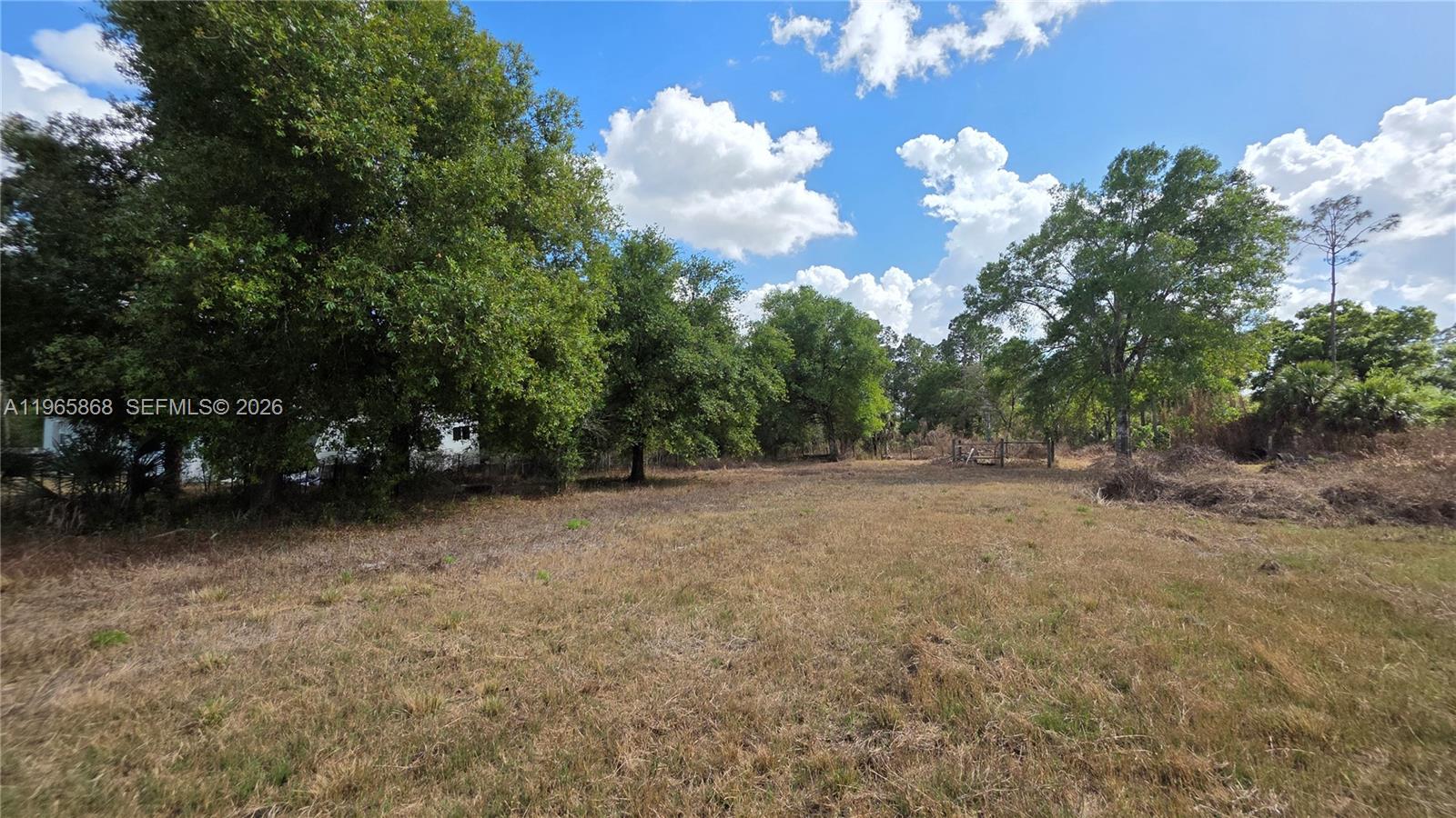 Montura Ranch Estates - Land